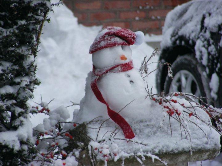 Saive Winter 2010_20.jpg